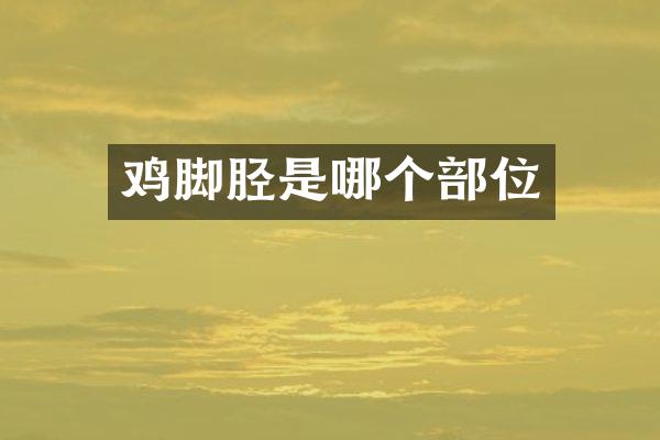 鸡脚胫是哪个部位