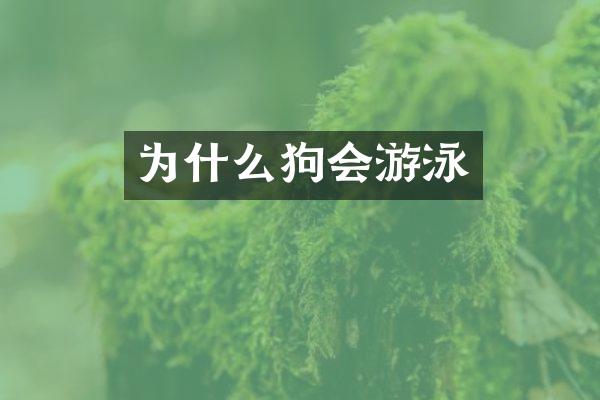 为什么狗会游泳