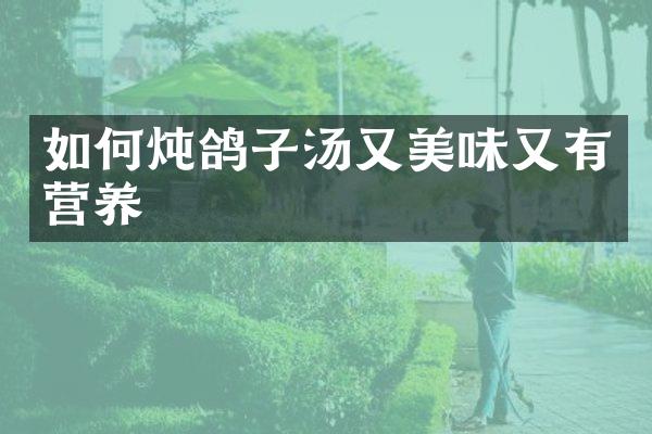 如何炖鸽子汤又美味又有营养