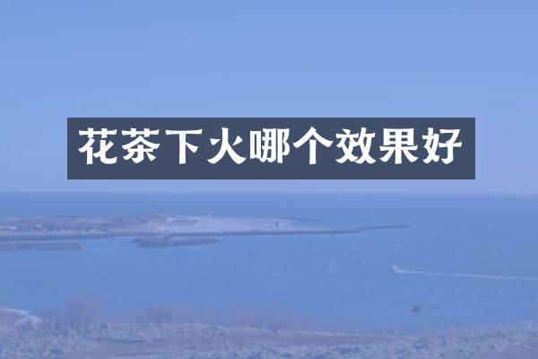 花茶下火哪个效果好
