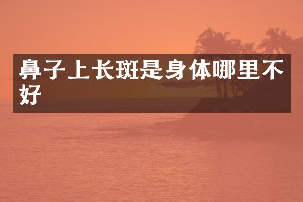 鼻子上长斑是身体哪里不好