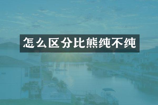 怎么区分比熊纯不纯
