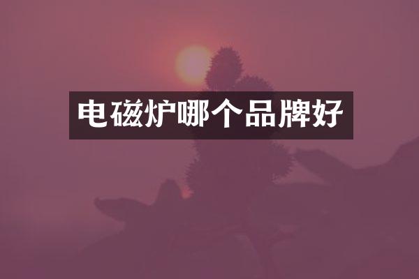 电磁炉哪个品牌好