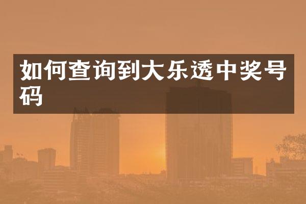 如何查询到大中奖号码