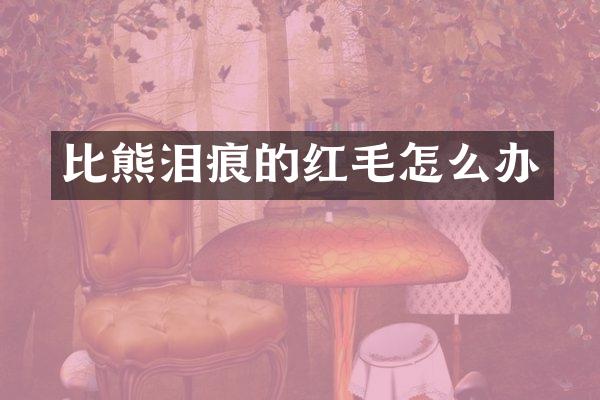 比熊泪痕的红毛怎么办
