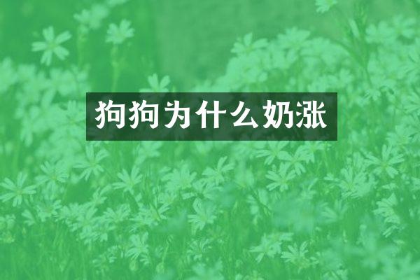 狗狗为什么奶涨
