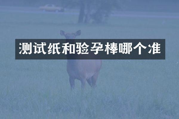 测试纸和验孕棒哪个准