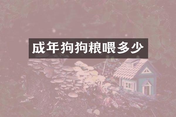 成年狗喂多少