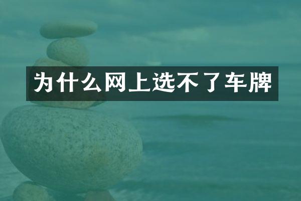为什么网上选不了车牌