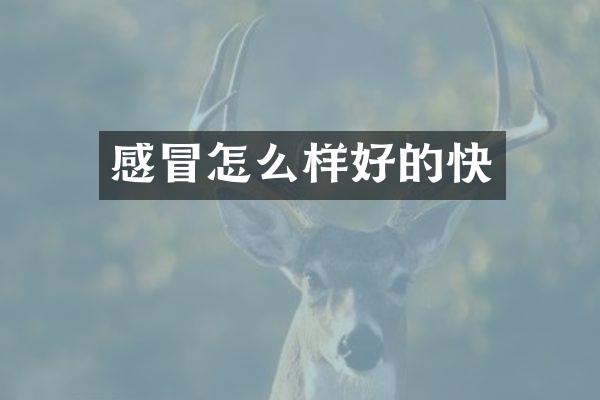 感冒怎么样好的快