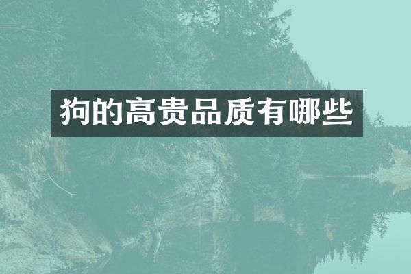 狗的高贵品质有哪些