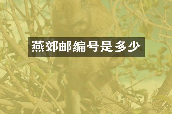 燕郊邮编号是多少