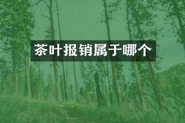 茶叶报销属于哪个