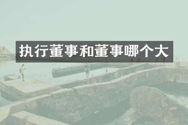 执行董事和董事哪个大