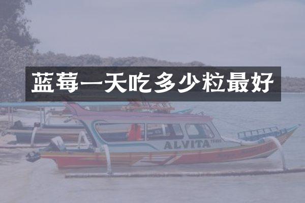蓝莓一天吃多少粒最好