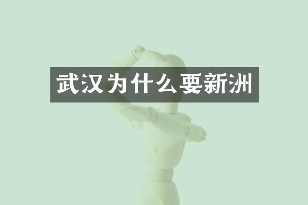 武汉为什么要新洲