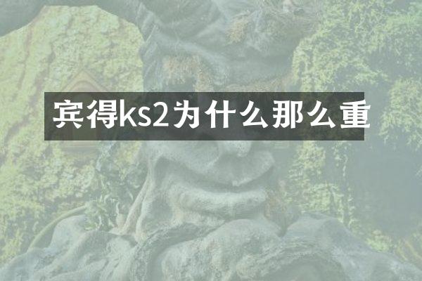 宾得ks2为什么那么重