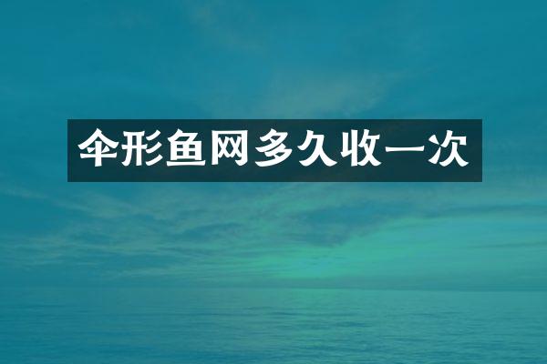 伞形鱼网多久收一次