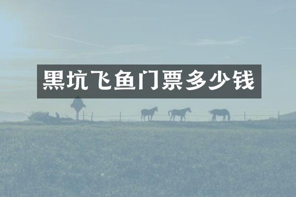 黑坑飞鱼门票多少钱