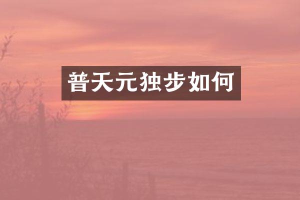普天元独步如何