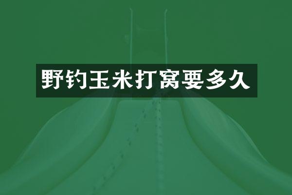 野钓玉米打窝要多久