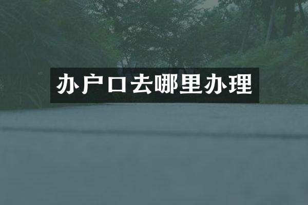办户口去哪里办理