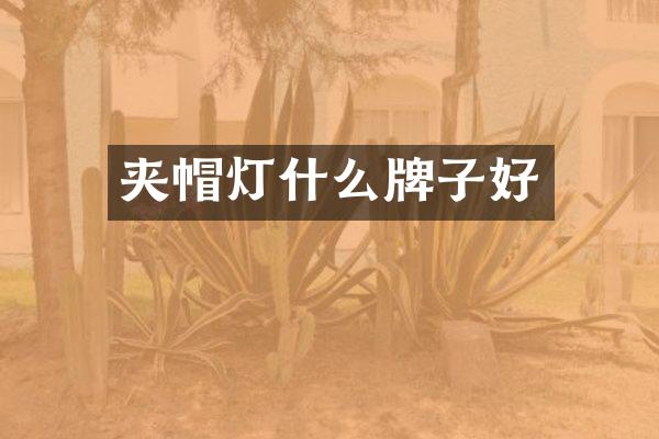夹帽灯什么牌子好