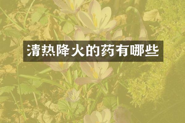 清热降火的药有哪些