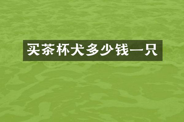 买茶杯犬多少钱一只