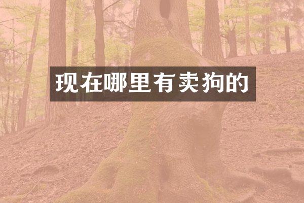 现在哪里有卖狗的