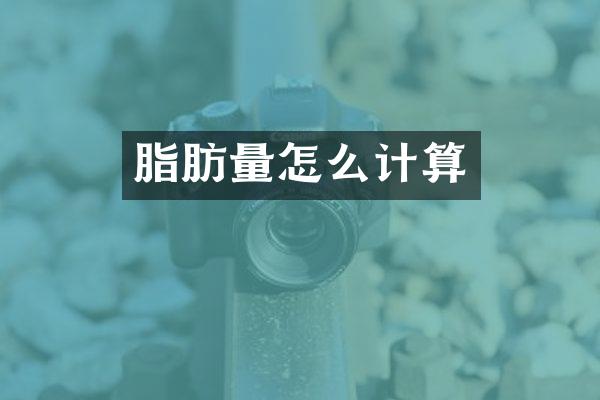 脂肪量怎么计算