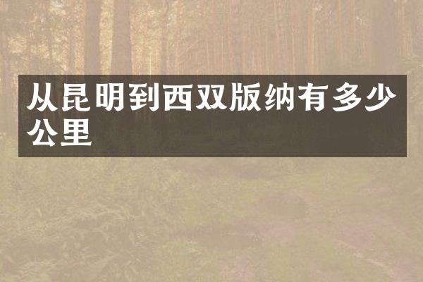 从昆明到西双版纳有多少公里