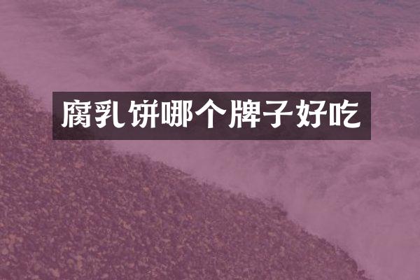 腐乳饼哪个牌子好吃