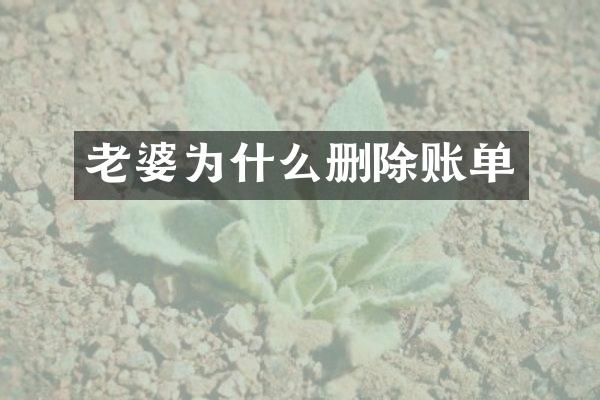 老婆为什么删除账单
