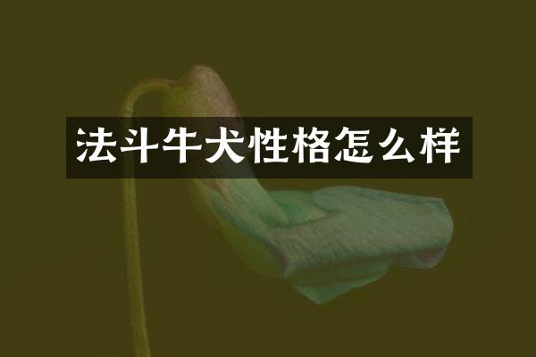 法斗牛犬性格怎么样