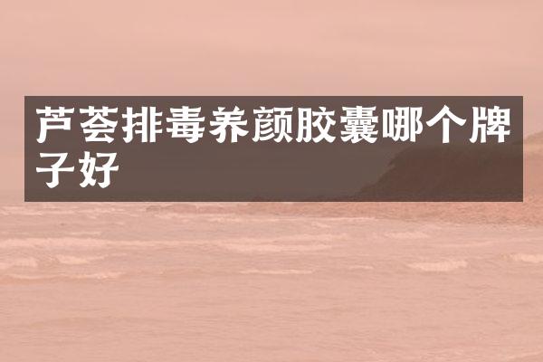 芦荟排毒养颜胶囊哪个牌子好