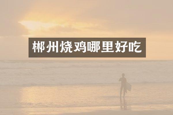 郴州烧鸡哪里好吃