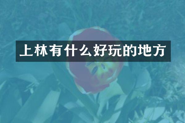 上林有什么好玩的地方