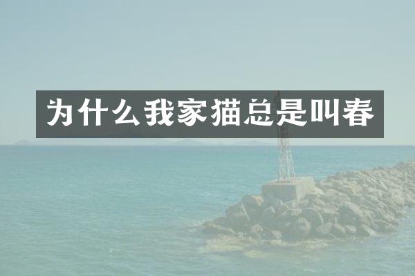 为什么我家猫总是叫春