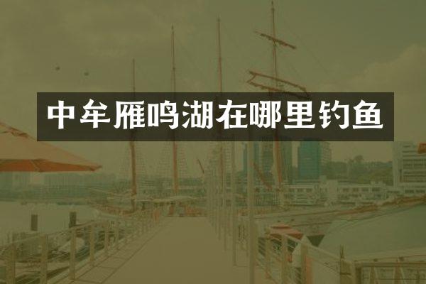 中牟雁鸣湖在哪里钓鱼