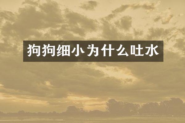 狗狗细小为什么吐水