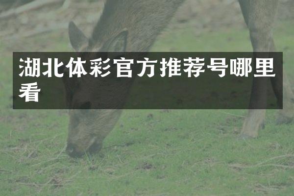 湖北体彩官方推荐号哪里看