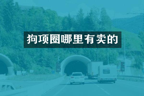 狗项圈哪里有卖的