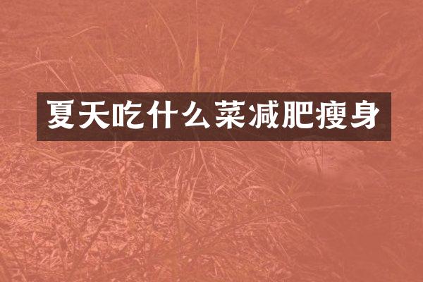 夏天吃什么菜减肥
