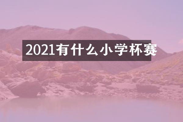 2021有什么小学杯赛