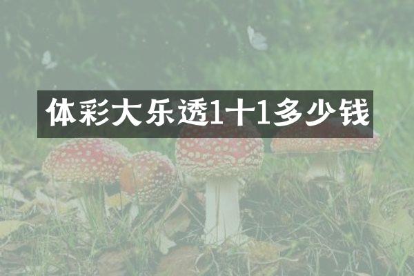 体彩大乐透1十1多少钱
