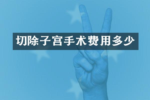 切除子宫手术费用多少