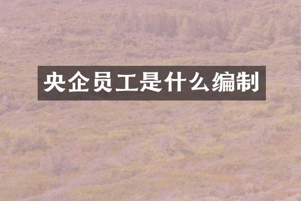 央企员工是什么编制