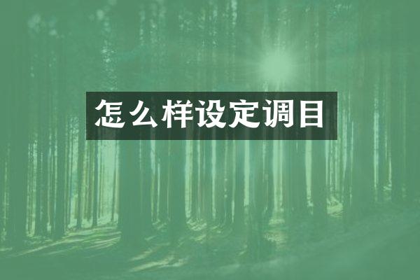 怎么样设定调目