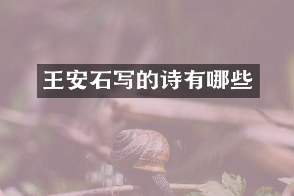 王安石写的诗有哪些